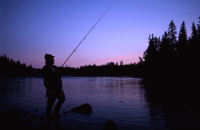 fiskar i skymning natur sjö